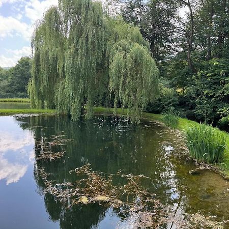 Restauracja i Noclegi Izba Rybacka w Krainie Wygasłych Wulkanów Podgorki Exterior foto